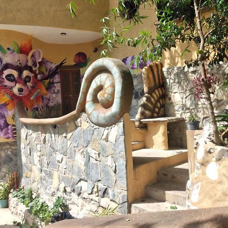 Hotel Casa Musgo Xilitla Esterno foto